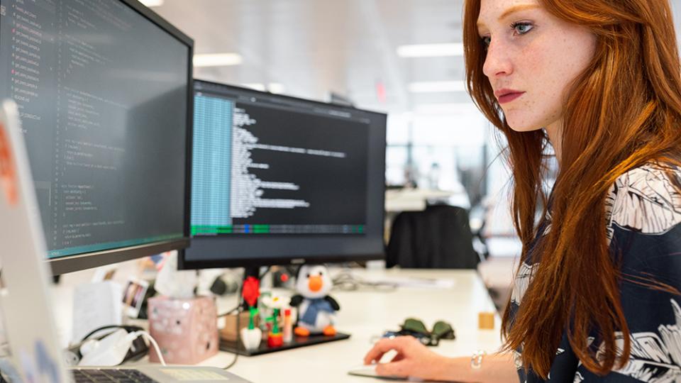 软件开发卡-女人在计算机